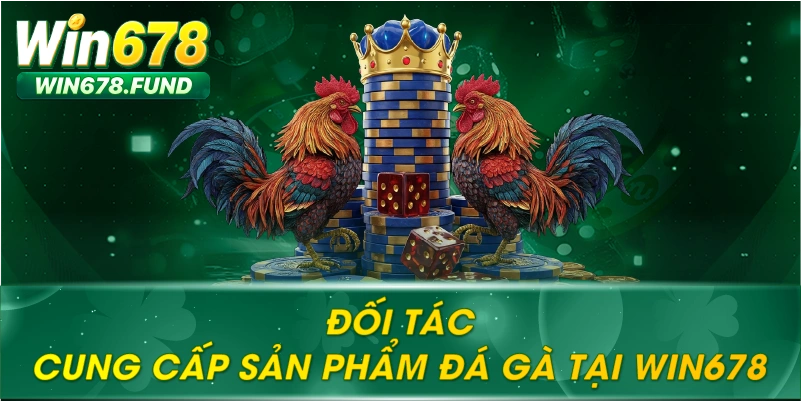 Đối tác cung cấp sản phẩm đá gà tại WIN678